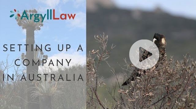 Setting Up a Foreign-owned Subsidiary in Australia