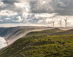 Are your emails inadvertently giving away your secrets