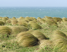 Operating a foreign buisness in Australia Operating a foreign buisness in Australia